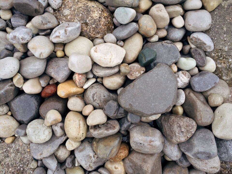 Beach shore nature