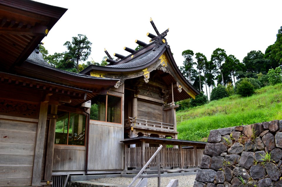Tsuno-jinja honden