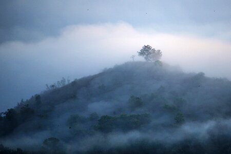 Dawn fog mist photo