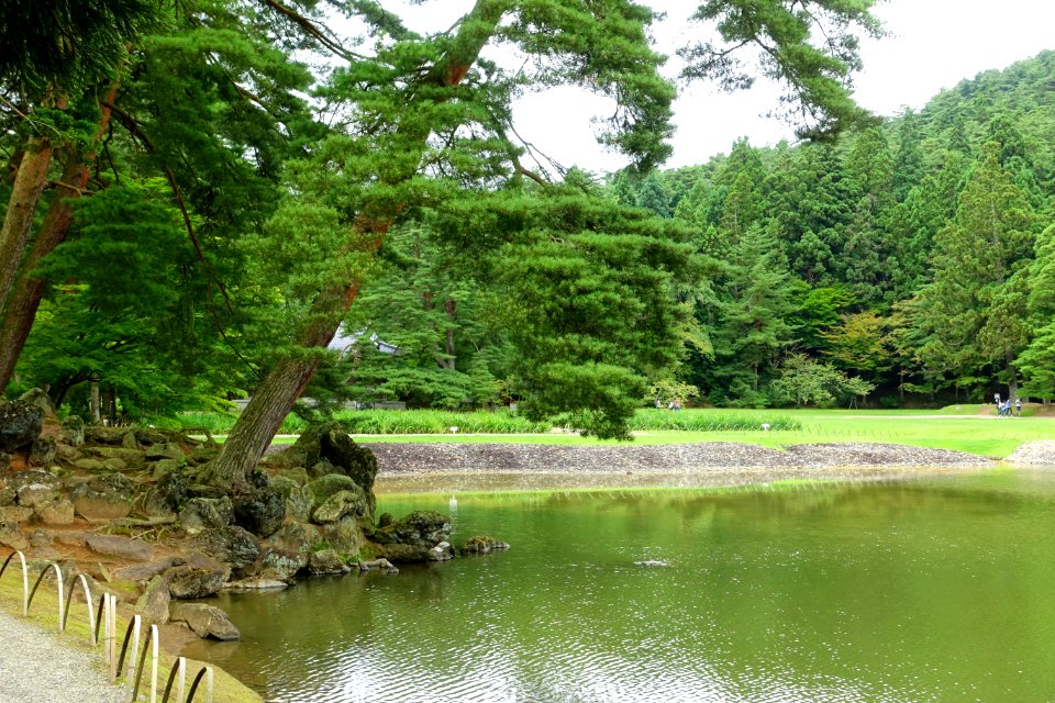 Tsukiyama (mountain-like formations) - Oizumi ga Ike Pond - Motsuji, Hiraizumi, Iwate - DSC04393