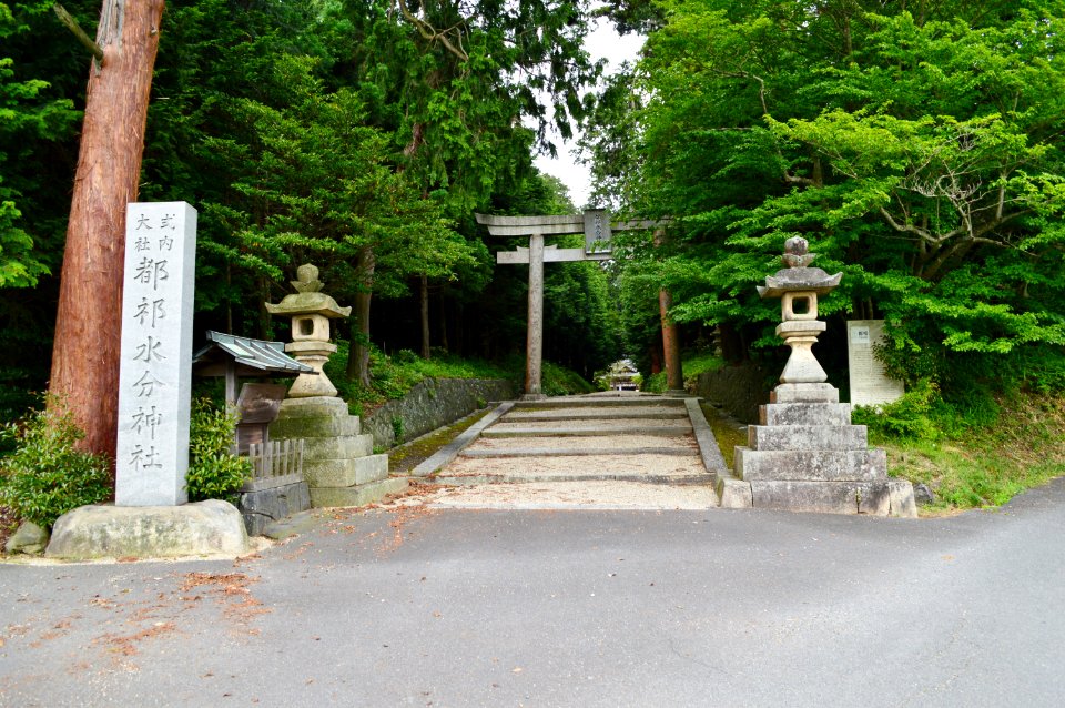 Tsuge-mikumari-jinja, torii