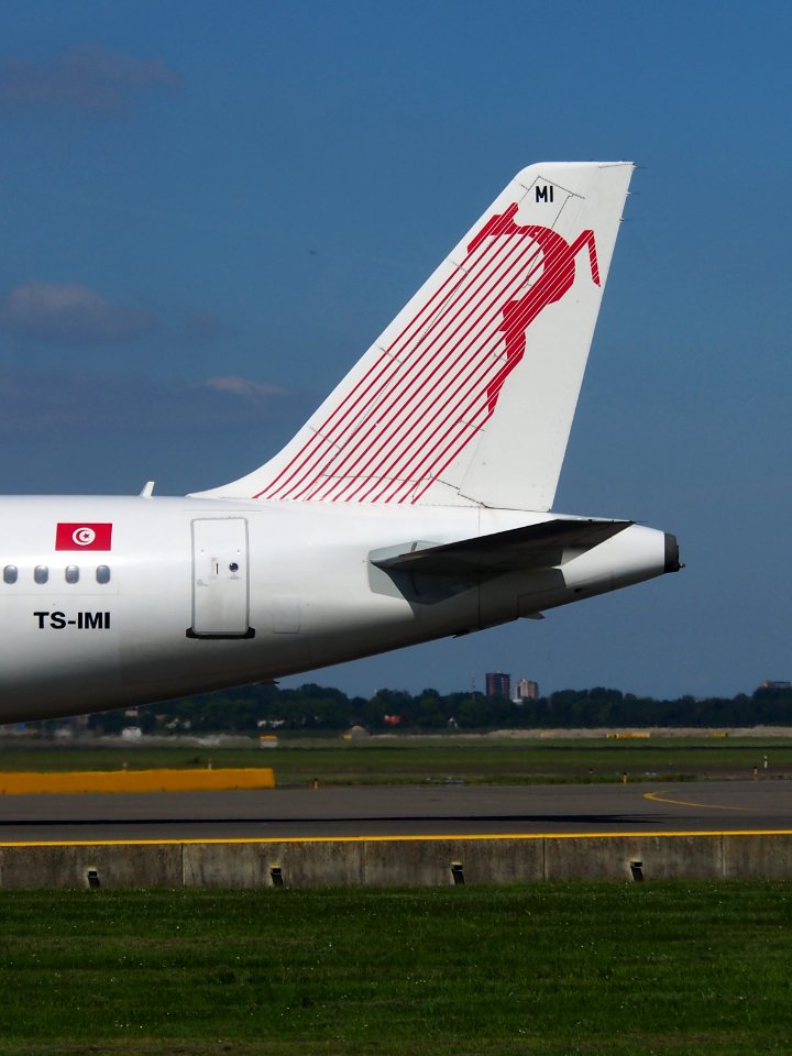TS-IMI Tunisair Airbus A320-211 - cn 511 at Schiphol (AMS - EHAM), The Netherlands, 16may2014, pic-4