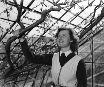 Tuinbouwschool Huize te Lande te Rijswijk, Bestanddeelnr 901-6184