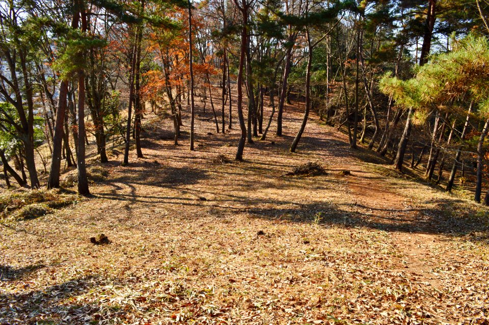 Tsukuriyama Kofun (Soja), zenpoubu