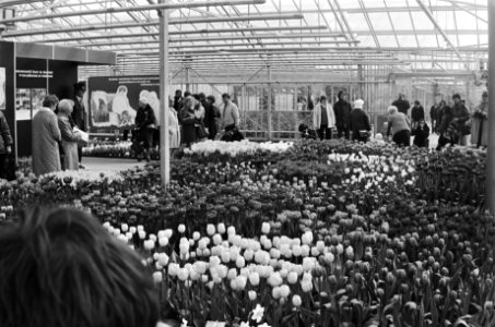 Tuinbouwtentoonstelling Floriade trok het paasweekend ongeveer 100.000 bezoekers, Bestanddeelnr 932-1011