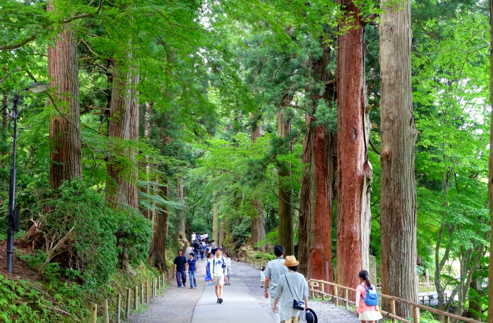 Tsukimizaka Slope - Chusonji, Hiraizumi, Iwate - DSC04718