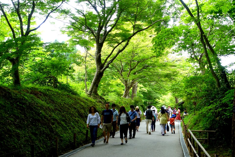 Tsukimizaka Slope - Chusonji, Hiraizumi, Iwate - DSC04848