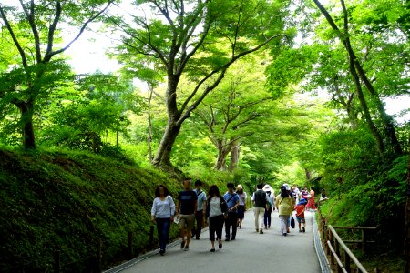 Tsukimizaka Slope - Chusonji, Hiraizumi, Iwate - DSC04848