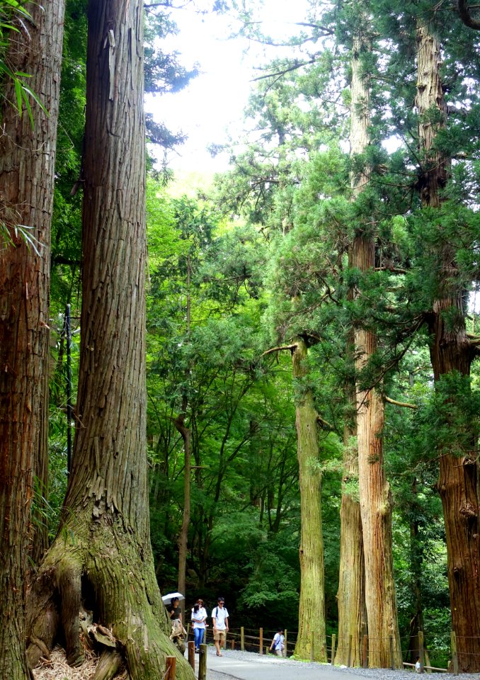 Tsukimizaka Slope - Chusonji, Hiraizumi, Iwate - DSC04728