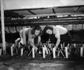 Tuinbouwschool Huize te Lande Rijswijk, Bestanddeelnr 901-6176