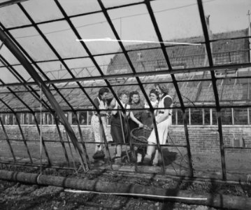 Tuinbouwschool Huize te Lande Rijswijk. Buurpraatje vanuit een der kassen gezi, Bestanddeelnr 901-6173