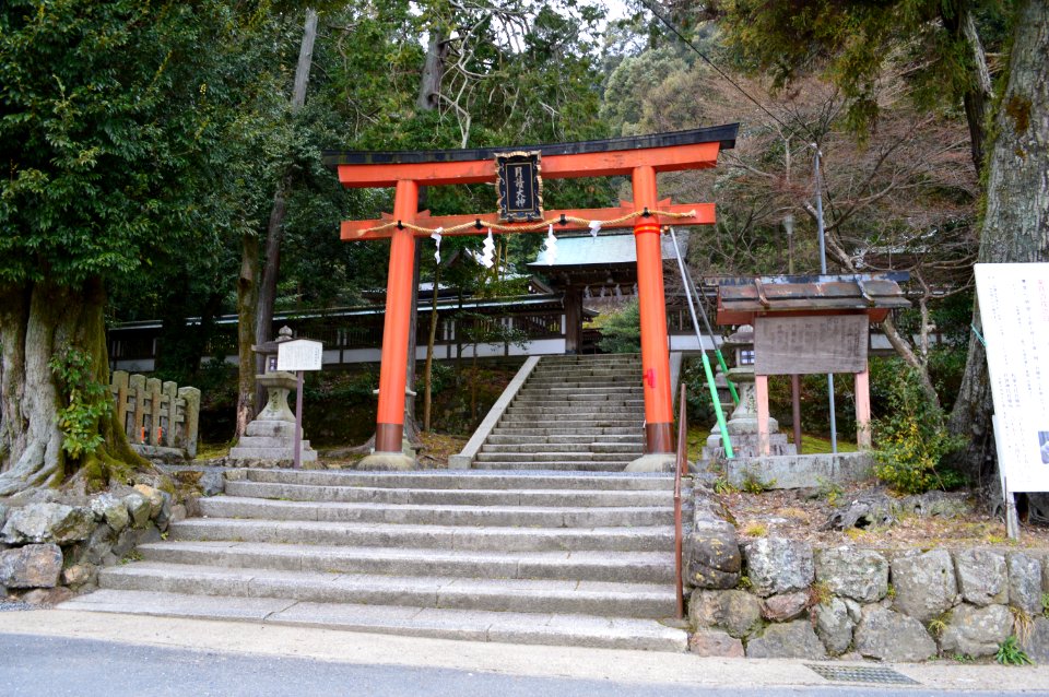 Tsukiyomi-jinja (Kyoto, Kyoto) torii