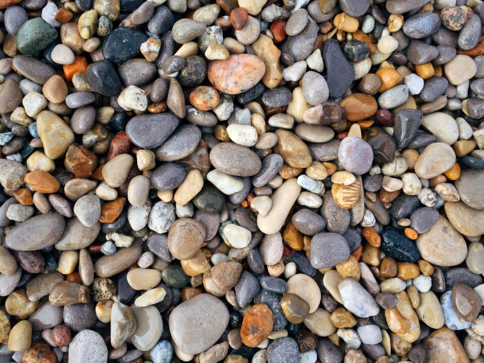 Beach shore nature
