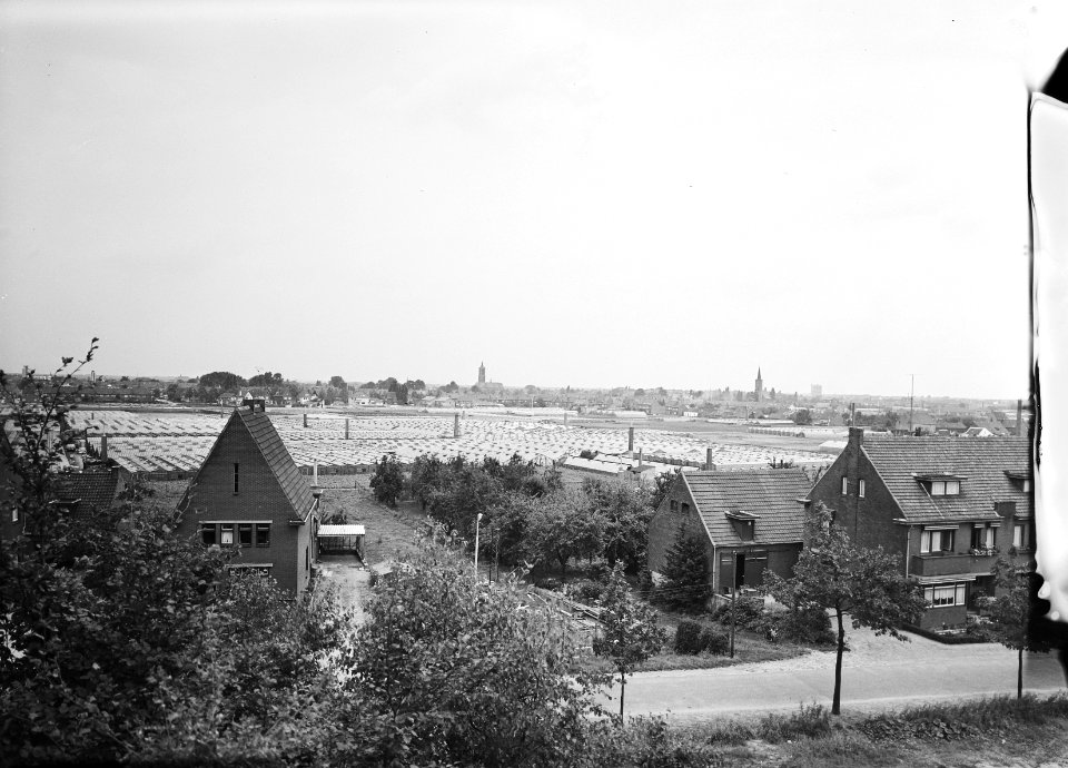 Tuinbouwgebied Venlo, Bestanddeelnr 164-0198