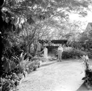 Tuin van de familie De Greve in Paramaribo. Links mevrouw Van de Poll, rechts de, Bestanddeelnr 252-2184