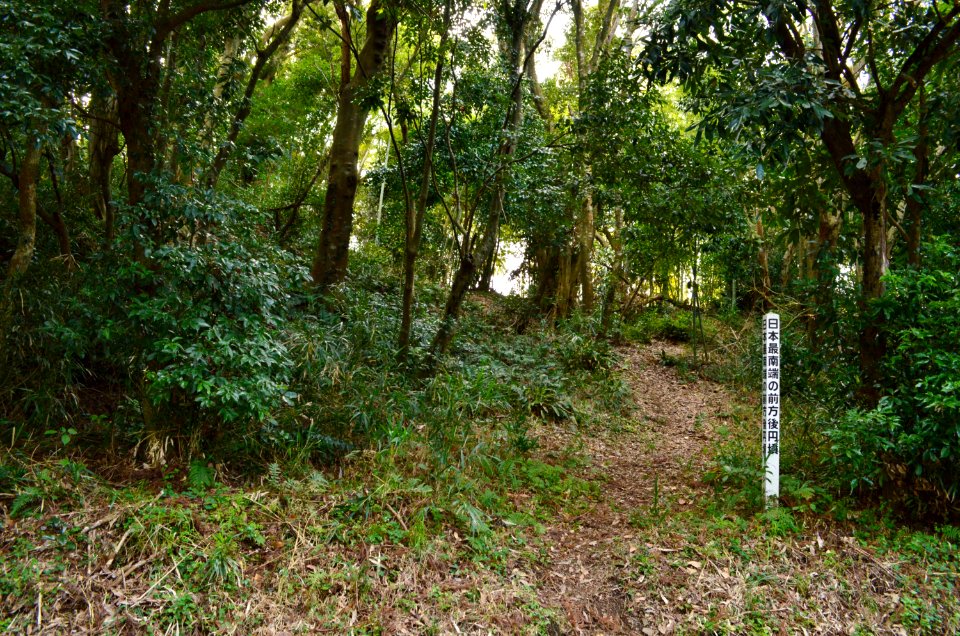 Tsukazaki Kofun Group-51, funkyu