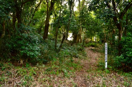 Tsukazaki Kofun Group-51, funkyu