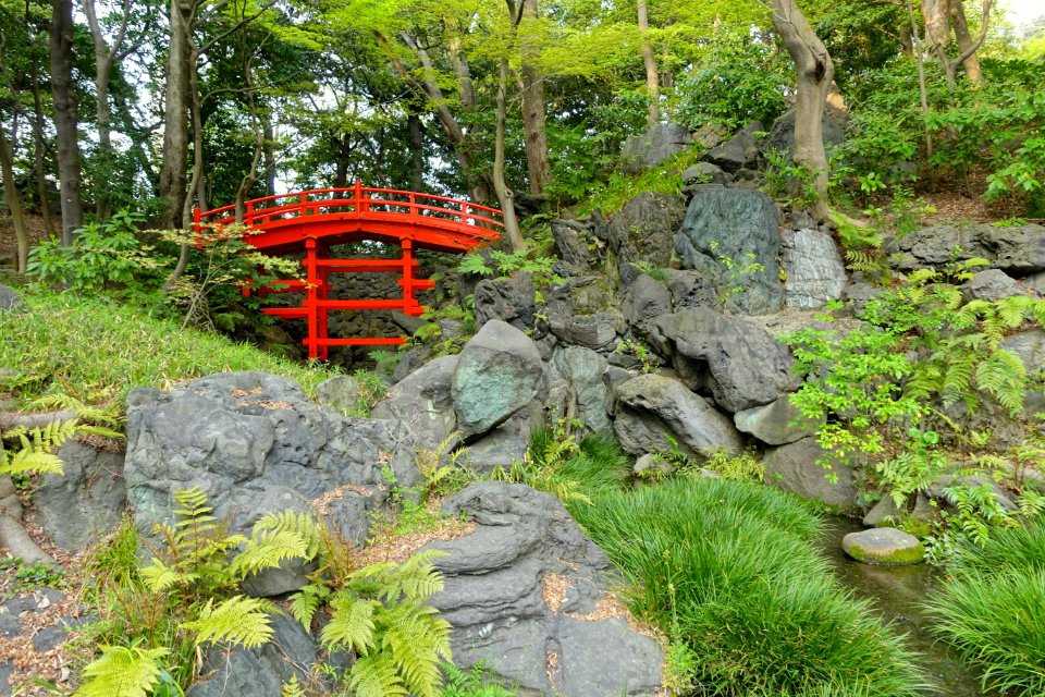 Tsutenkyo Bridge - Koishikawa Korakuen - Tokyo, Japan - DSC06293