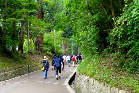 Tsukimizaka Slope - Chusonji, Hiraizumi, Iwate - DSC04686