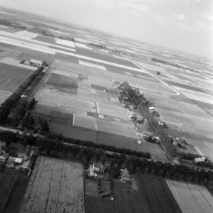 Tuinbouw, overzichten, Bestanddeelnr 250-8764