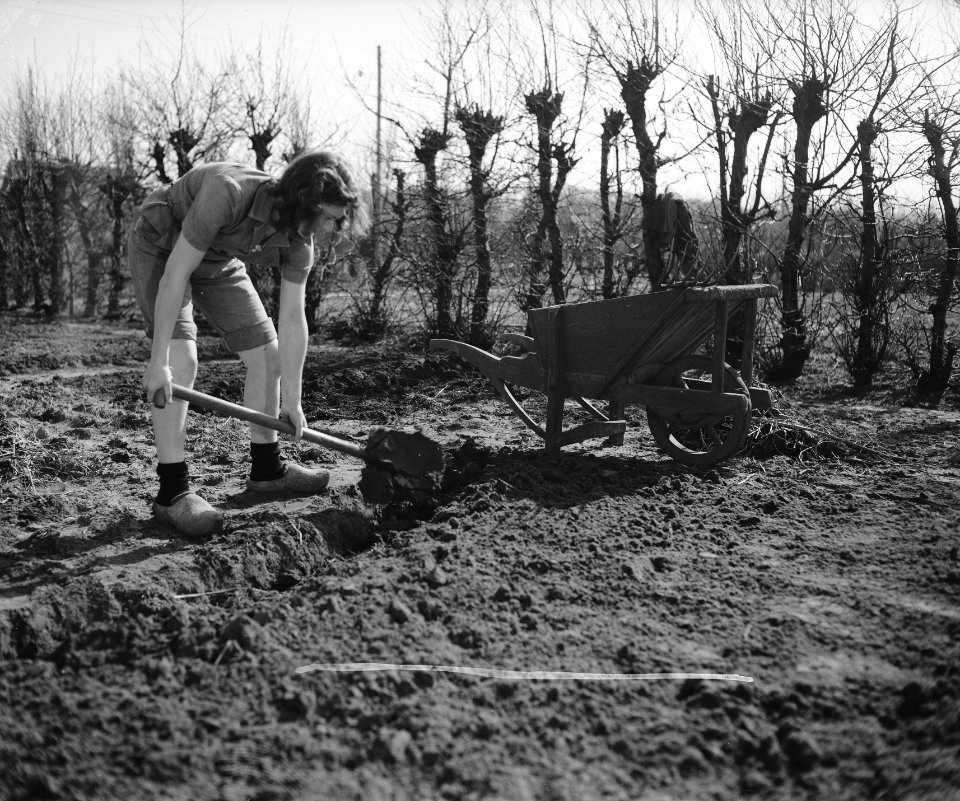 Tuinbouwschool Huize te Lande Rijswijk, Bestanddeelnr 901-6175