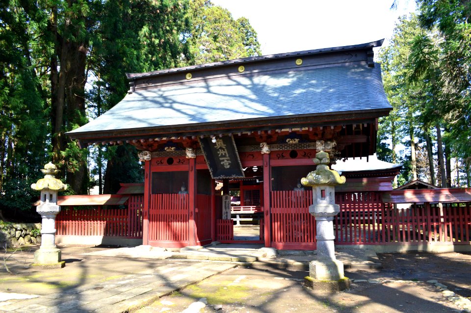 Tsutsukowake-jinja (Yatsuki) zuishinmon-2