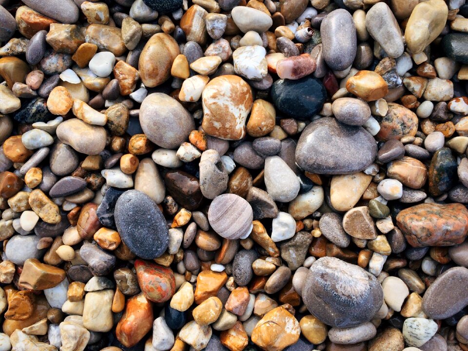Beach shore nature