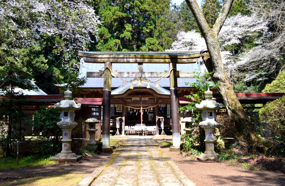 Tsutsukowake-jinja (Baba) shaden-1