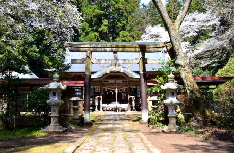 Tsutsukowake-jinja (Baba) shaden-1