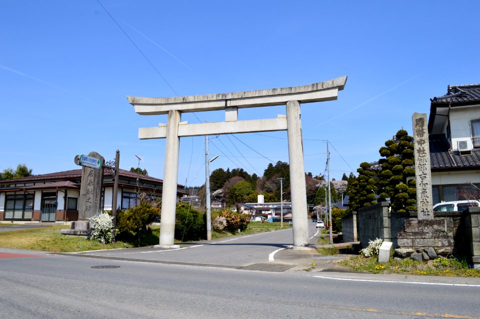 Tsutsukowake-jinja (Baba) torii