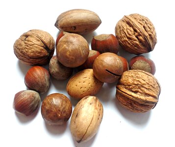 Hazelnut brazil nuts nut mix photo