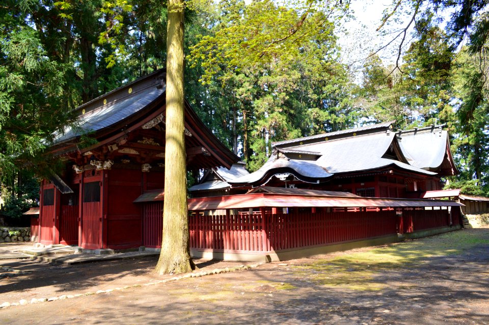 Tsutsukowake-jinja (Yatsuki) shaden