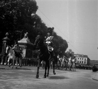 Troonopvolging door Koning Boudewijn Belgie. Cavaleristen, Bestanddeelnr 904-6891