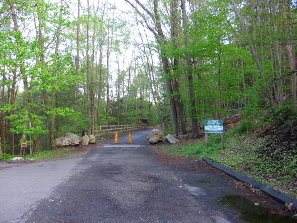 Trumbull south of Whitney Avenue 161
