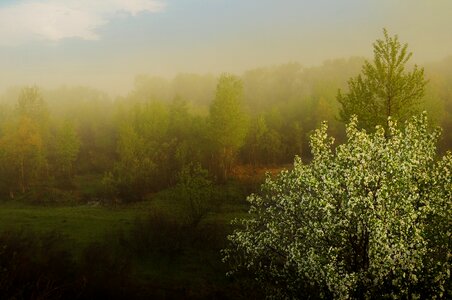 Dawn landscape apple