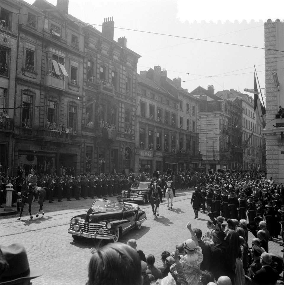 Troonopvolging door Koning Boudewijn België, Bestanddeelnr 904-6888