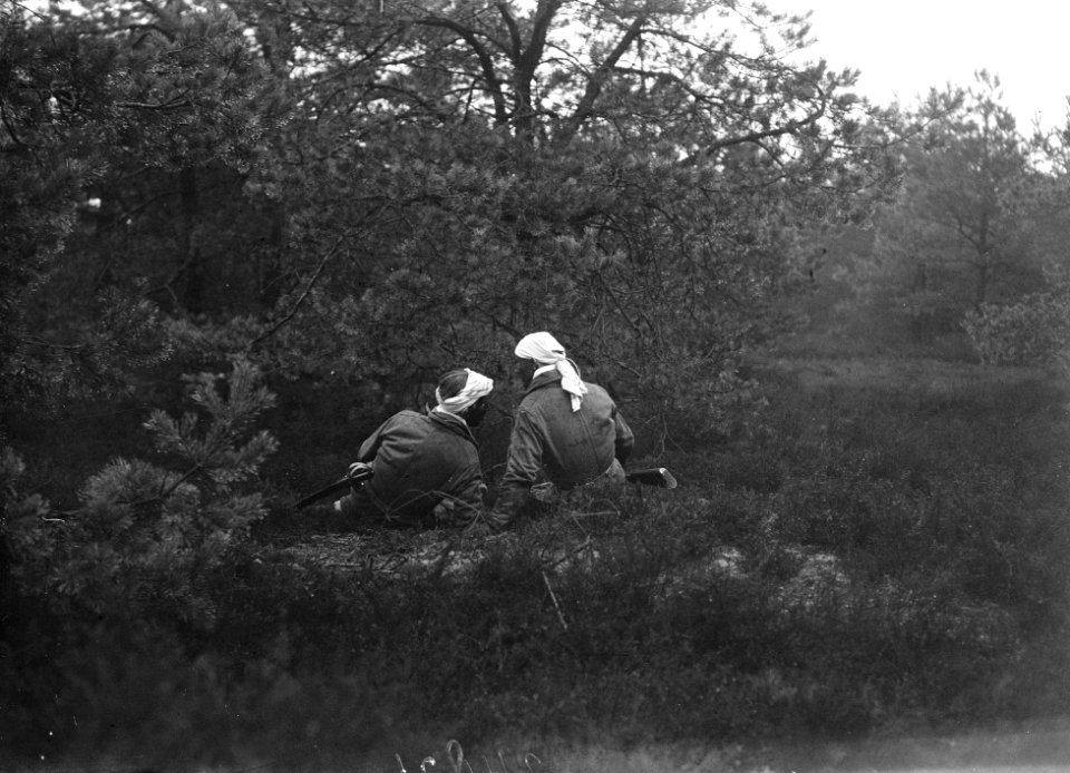 Tropische gevechten, Bestanddeelnr 902-4821