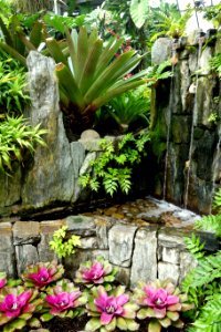 Tropical Terrace - Longwood Gardens - DSC01142 photo