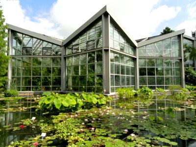 Tropicarium - Palmengarten Frankfurt - DSC01889