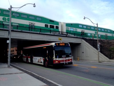 TTC Bus 8203 photo