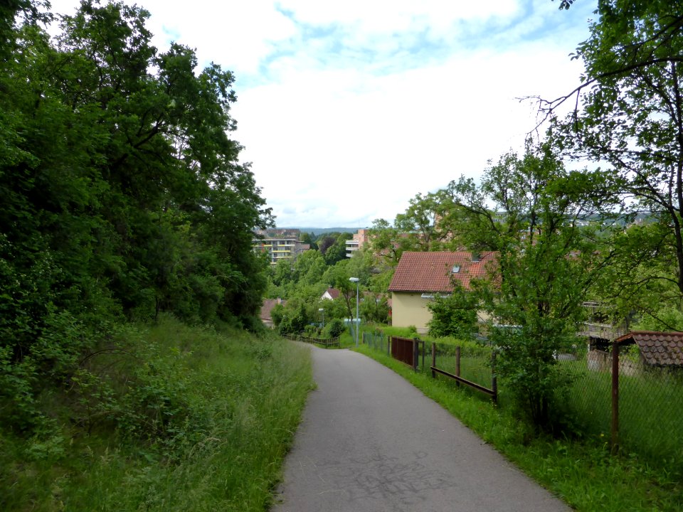 Tuebingen-2016-06-03-5
