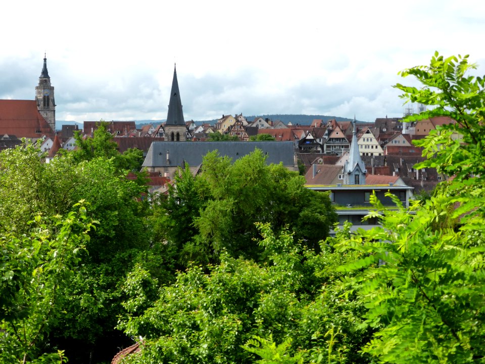 Tuebingen-2016-06-03-2
