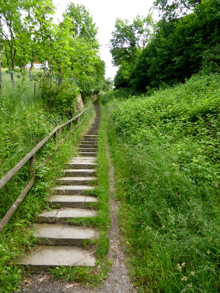 Tuebingen-2016-06-03-4