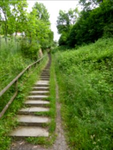 Tuebingen-2016-06-03-4