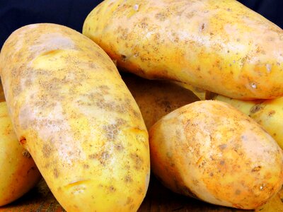 Potato food vegetarian