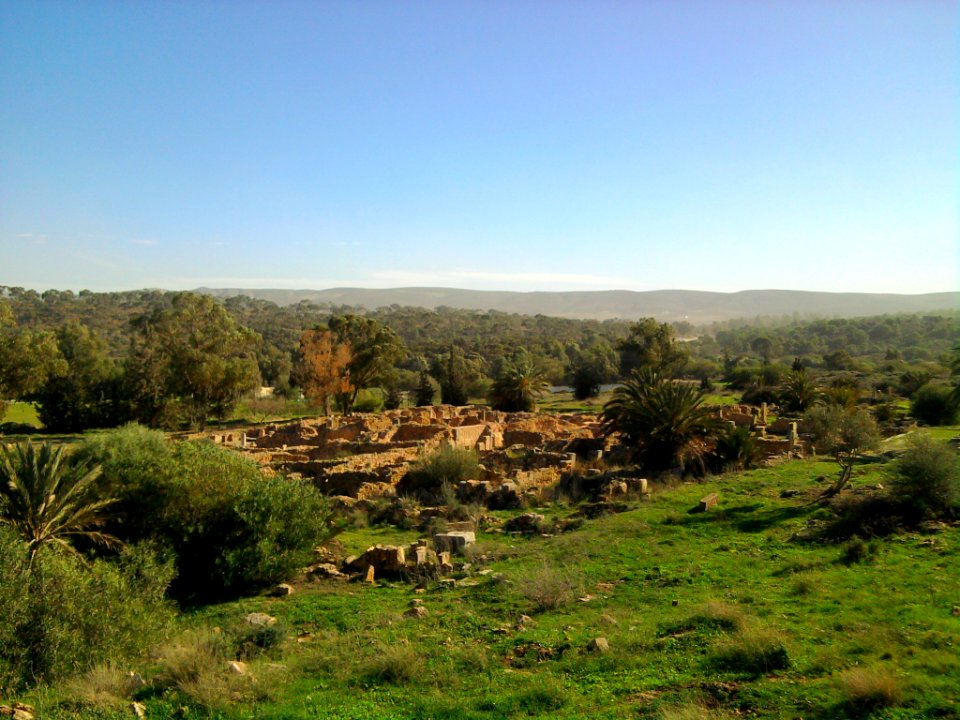 Tunisie Djebel oust