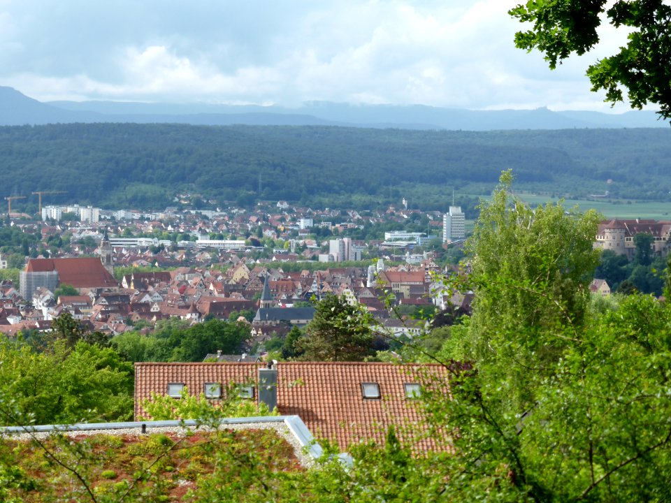 Tuebingen-2016-06-03-8