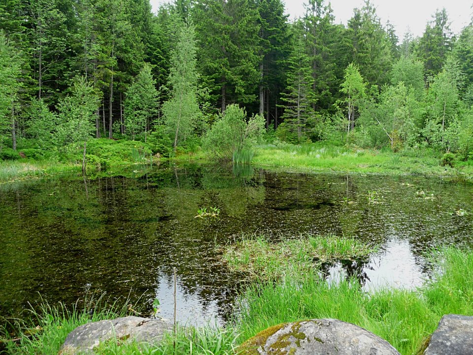 Tuempel Kiesau