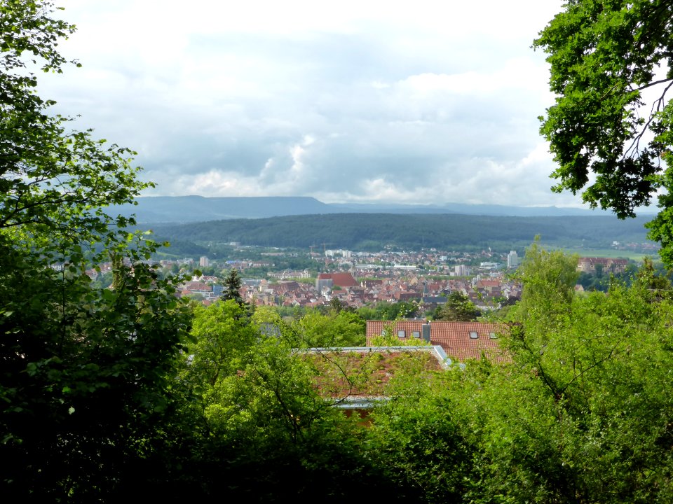 Tuebingen-2016-06-03-6