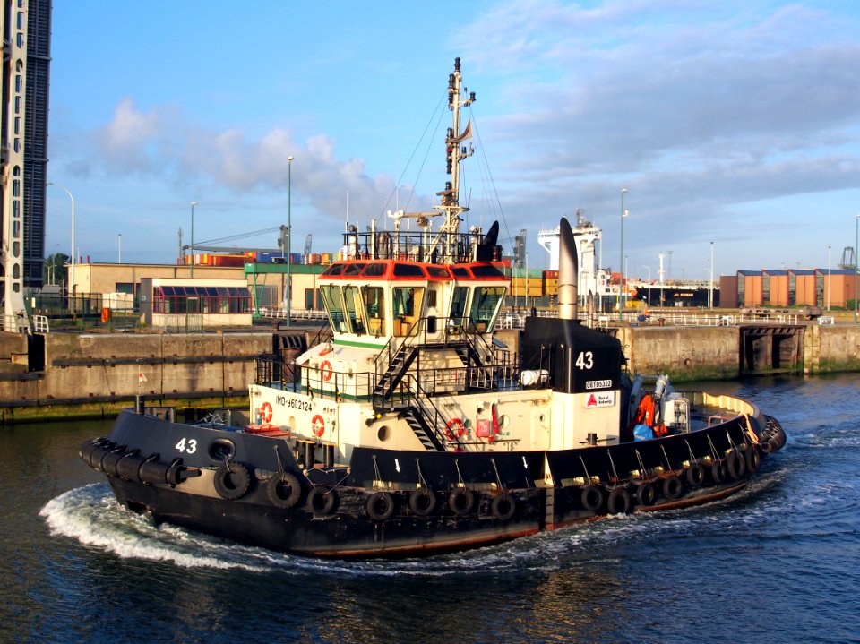 Tug 43 - IMO 9602124 - ENI 06105322, Zandvlietsluis, Port of Antwerp pic5